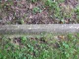 image of grave number 260209